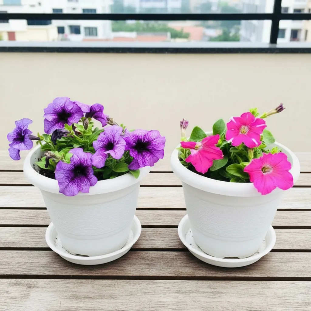 Set of 2 - Petunia (Purple & Pink) (any design) in 8 Inch White Classy Plastic Pot with tray