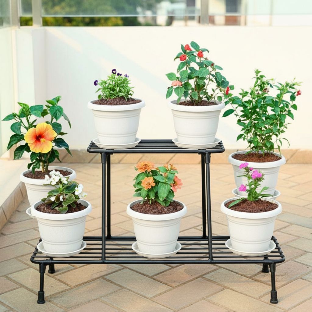 Set of 7 - Dianthus, Zinnia, Begonia, Torenia / Wishbone, Madhu Malti / Rangoon Creeper, Salvia & Hibiscus / Gudhal (any colour) in 8 Inch White Classy Plastic Pot with tray