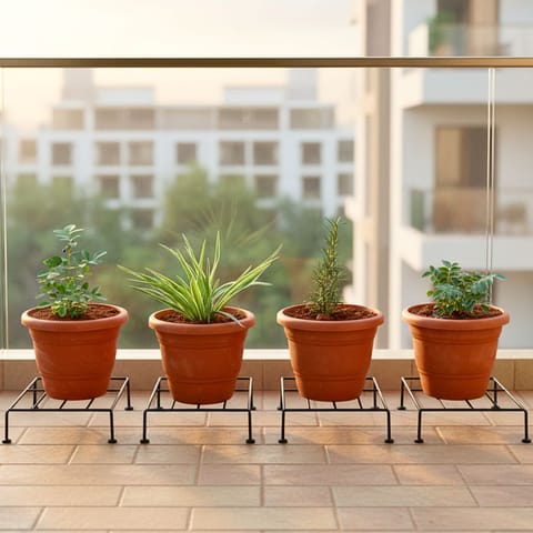 Set of 4 - Curry Patta, Rose Mary, Aparajita & Spider in 7 Inch Classy Red Plastic Pot