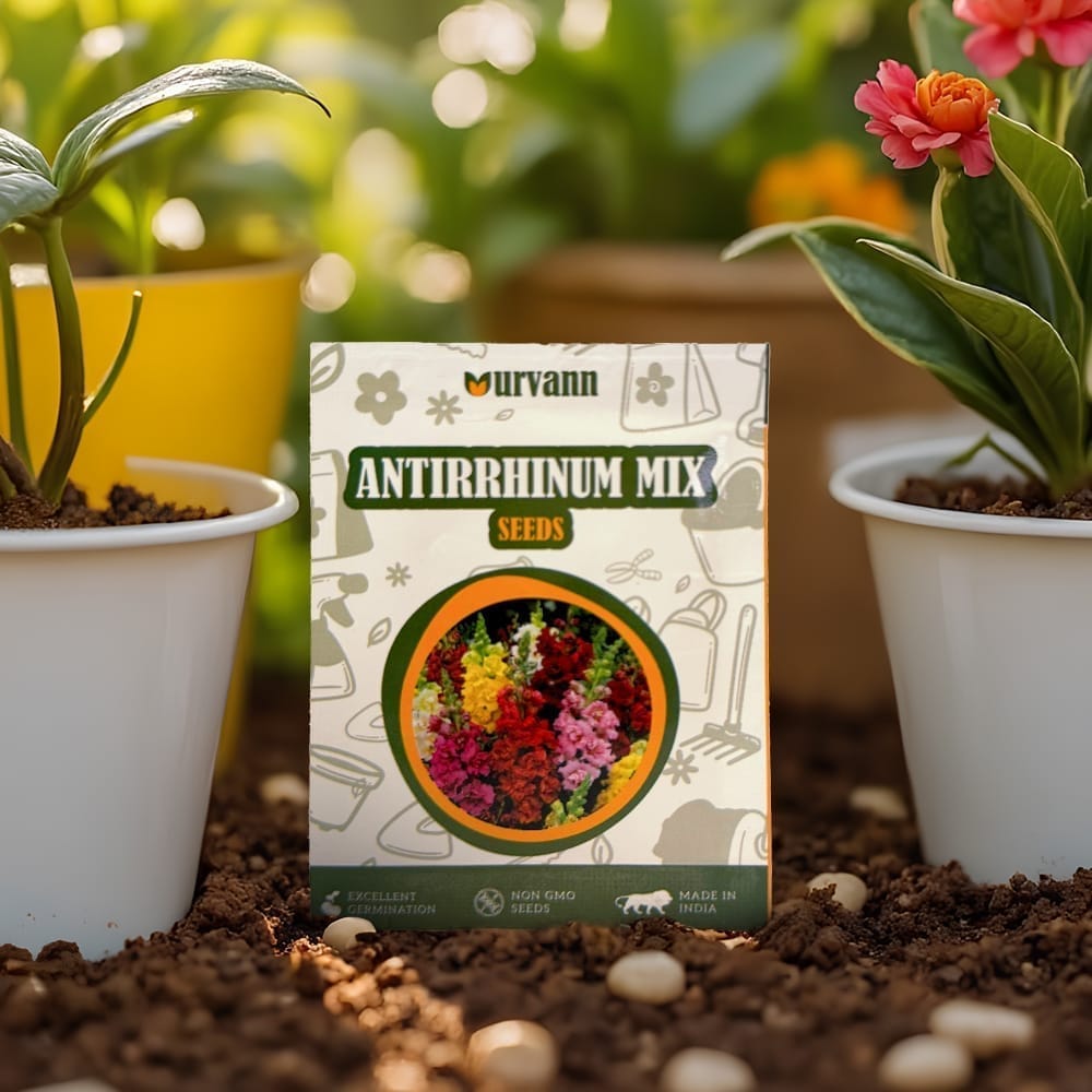 Antirrhinum / Dog Flower Mixed Seeds - GMO Free | Excellent Germination | Easy to Grow | Vibrant Blooms