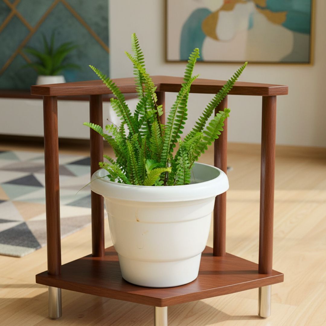 Boston Fern Green in 8 Inch White Classy Plastic Pot