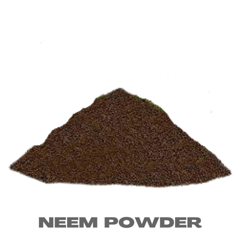 Neem Khali - 1 Kg - Natural soil protector & pest repellent
