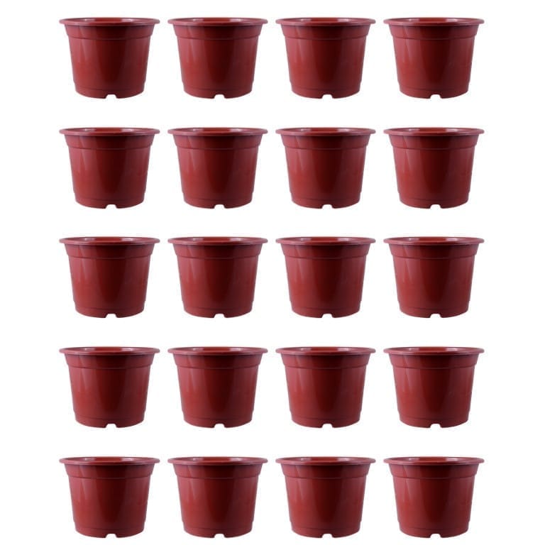 Set of 20 - 5.5 Inch Terracotta Red Nursery Pot