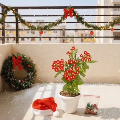 Verbena (any colour) in 6 Inch Classy White Plastic Pot