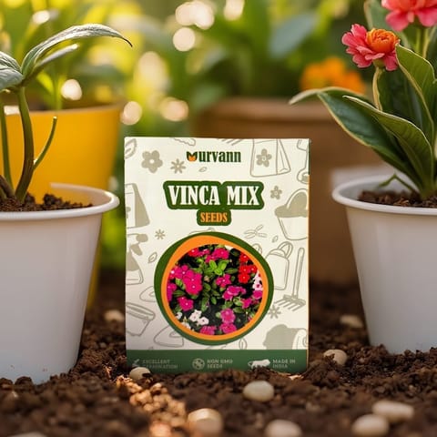Vinca Mixed Seeds - GMO Free | Excellent Germination | Easy to Grow | Vibrant Blooms