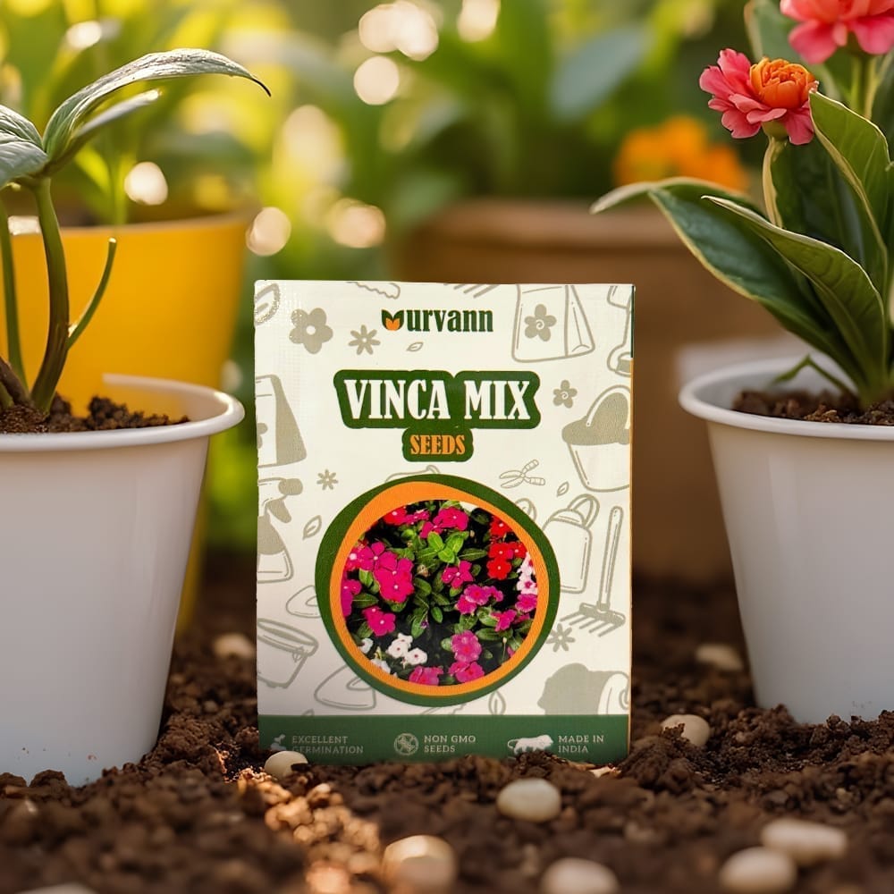 Vinca Mixed Seeds - GMO Free | Excellent Germination | Easy to Grow | Vibrant Blooms