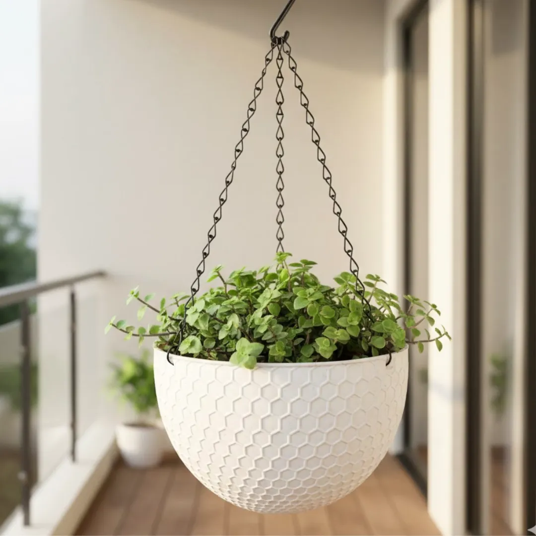 Turtle Vine in 7 Inch White Premium Cerana Plastic Hanging Basket