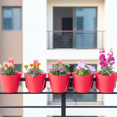 Flower Blossom - Set of 5 - Dog Flower, Marigold / Genda, Dianthus, Petunia, Stock Plant (Any colour) in 8 Inch Red Single Hook Hanging Plastic Pot