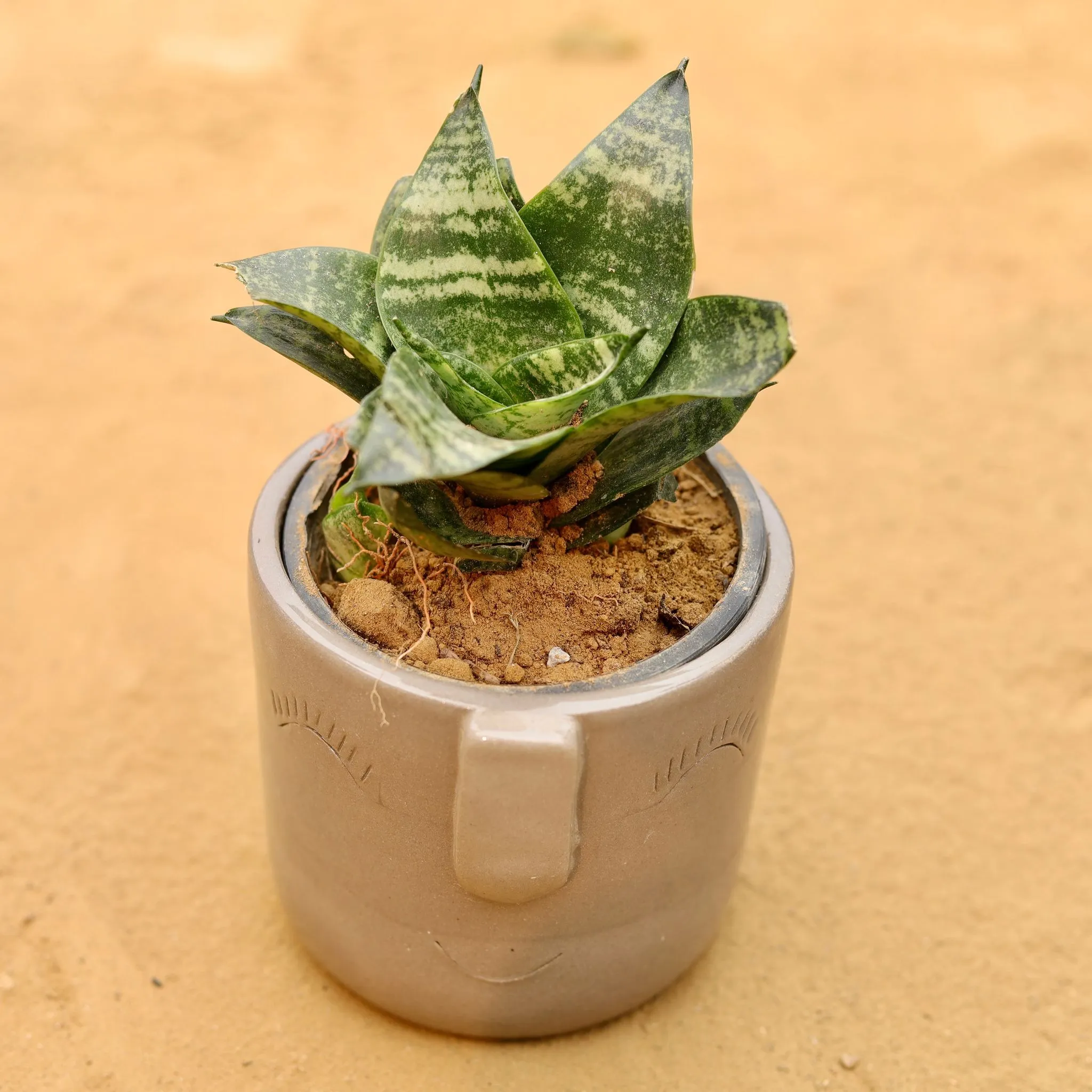 Snake Green in 3.5 Inch Grey 3D Cute Face Textured Ceramic Pot - Minimalist Glossy Succulent Pot, Indoor Flower Pot for Home and Office Decor