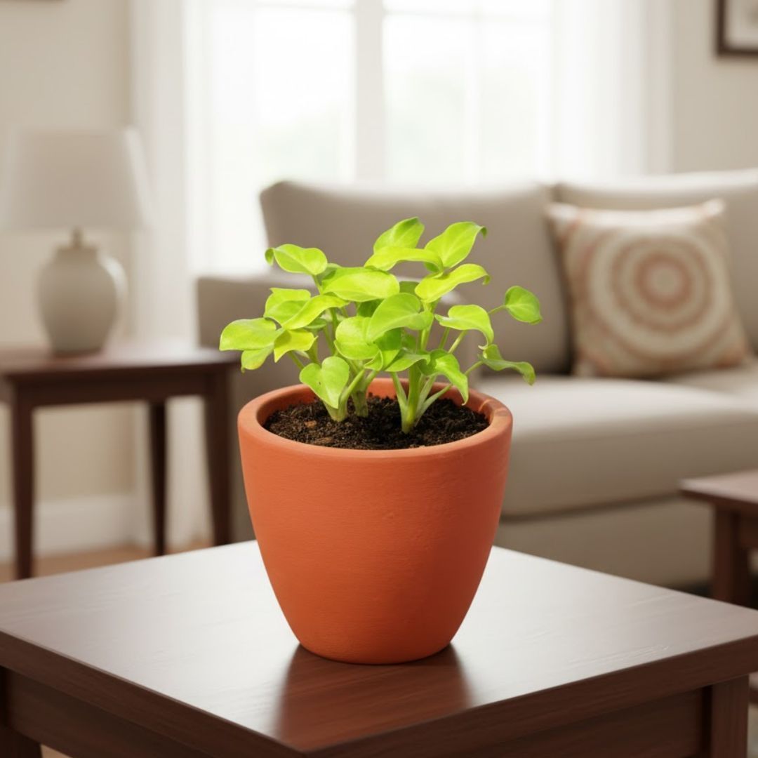 Gift Ready - Xanadu Golden in 4 inch Shilp Maati Pot - Chic Small Pot for Decor Corners - comes in a beautiful gifting bag