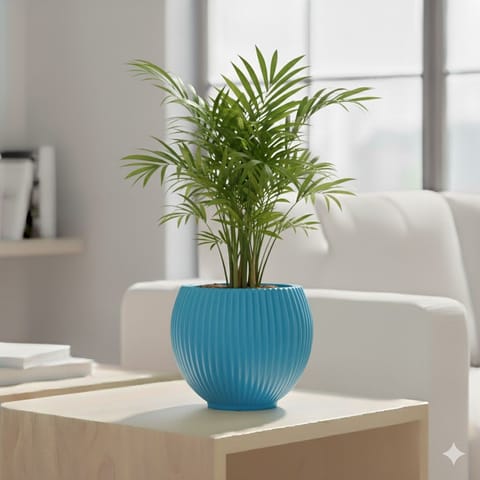 Chamaedorea Palm in 5 Inch Azure Blue Matt Sylvan Plastic Pot