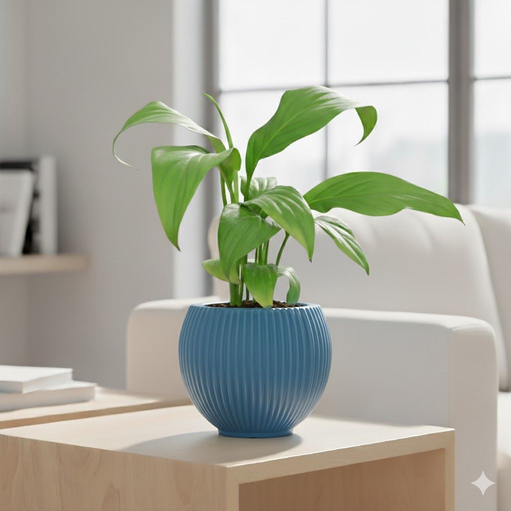Peace Lily in 5 Inch Azure Blue Matt Sylvan Plastic Pot