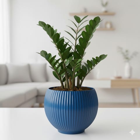 Zz Black in 5 Inch Azure Blue Matt Sylvan Plastic Pot