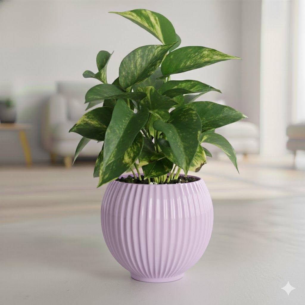 Money Plant Green in 5 Inch Lavender Matt Sylvan Plastic Pot