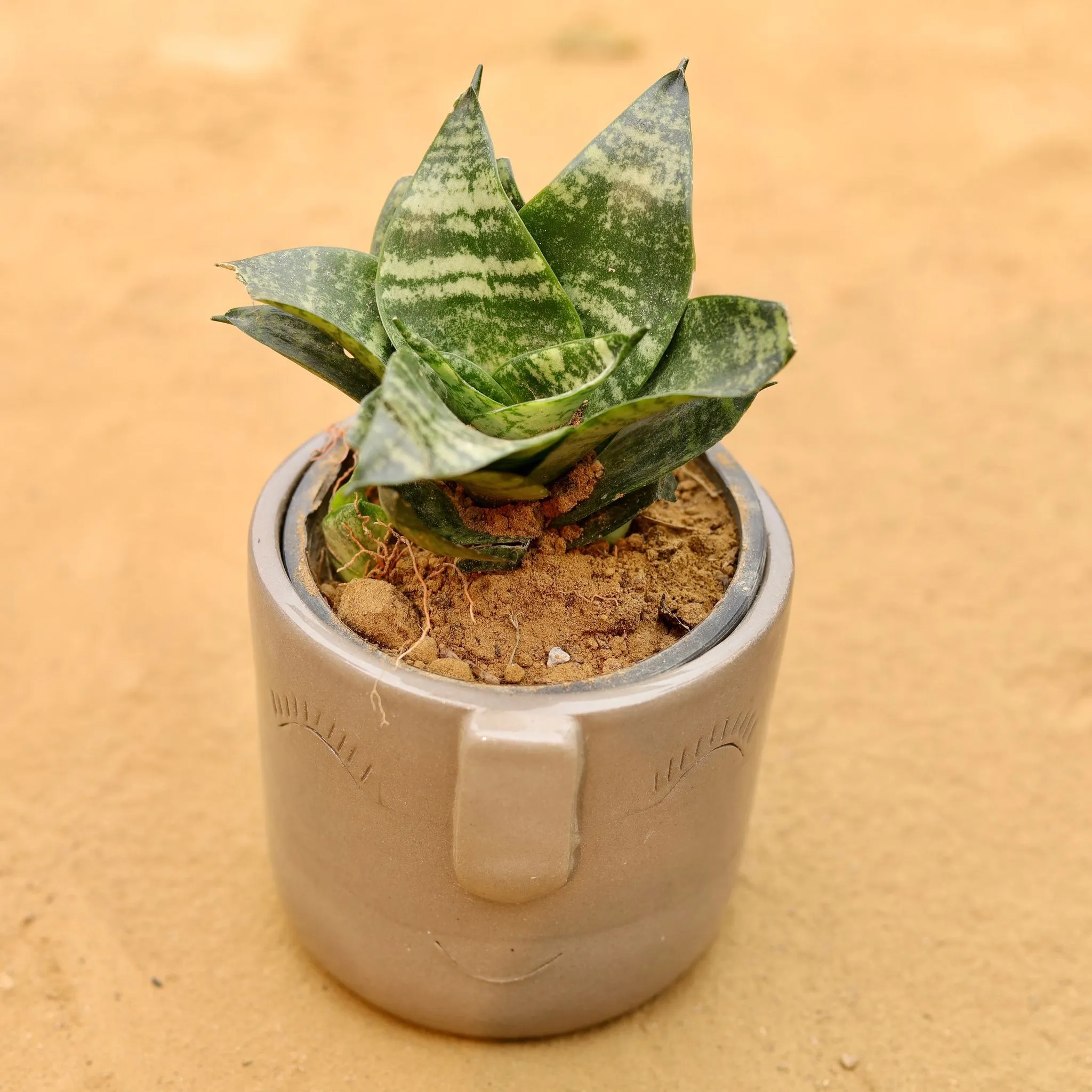 Snake Green in 3.5 Inch Grey 3D Cute Face Textured Ceramic Pot - Minimalist Glossy Succulent Pot, Indoor Flower Pot for Home and Office Decor