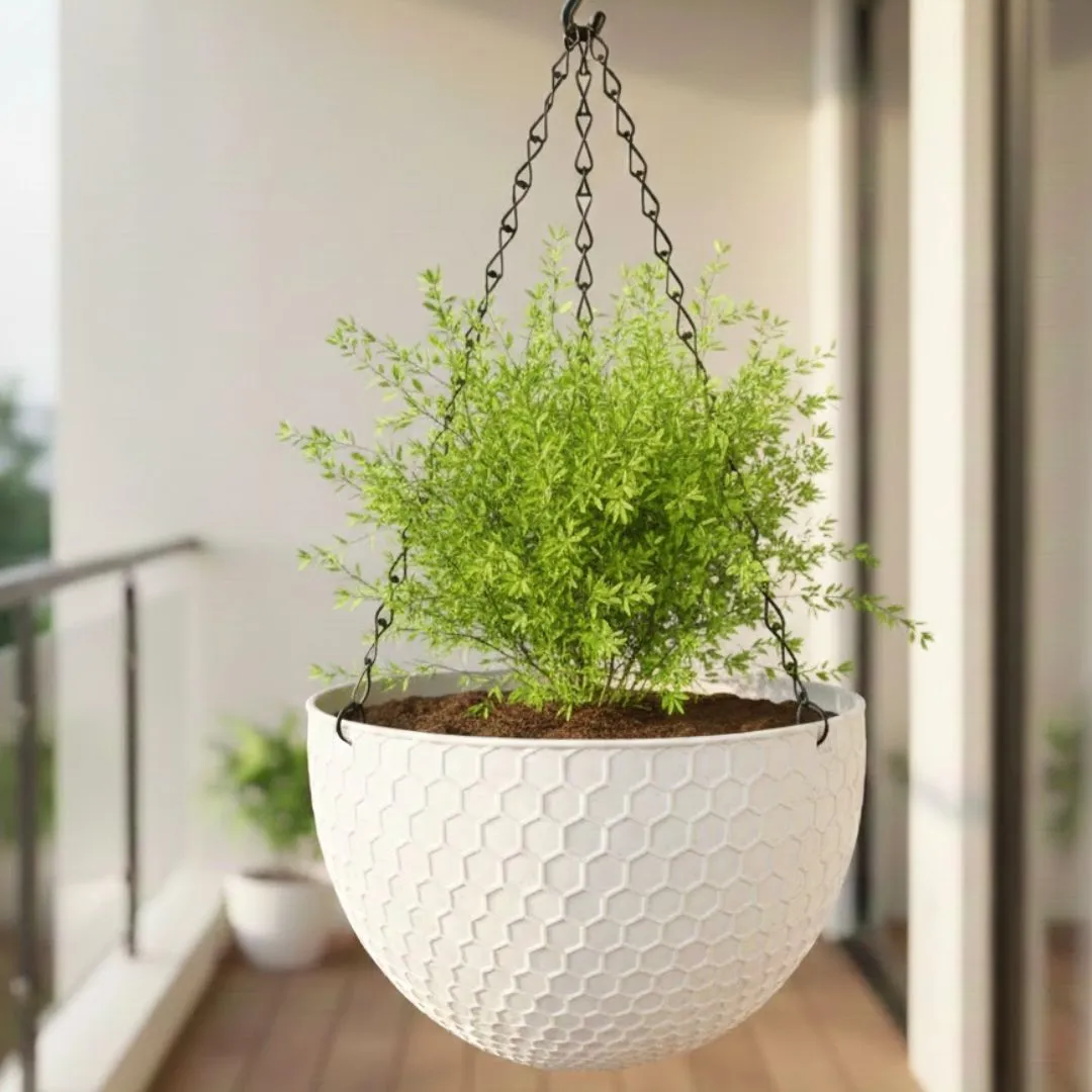 Fern in 7 Inch White Premium Cerana Plastic Hanging Basket