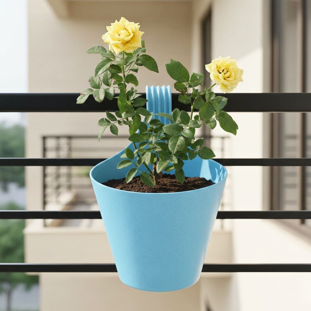 English Rose Yellow in 8 Inch Blue Marble Single Hook Hanging Plastic Pot