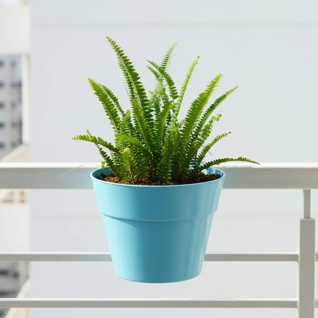 Fern Green in 8 Inch Blue Marble Single Hook Hanging Plastic Pot
