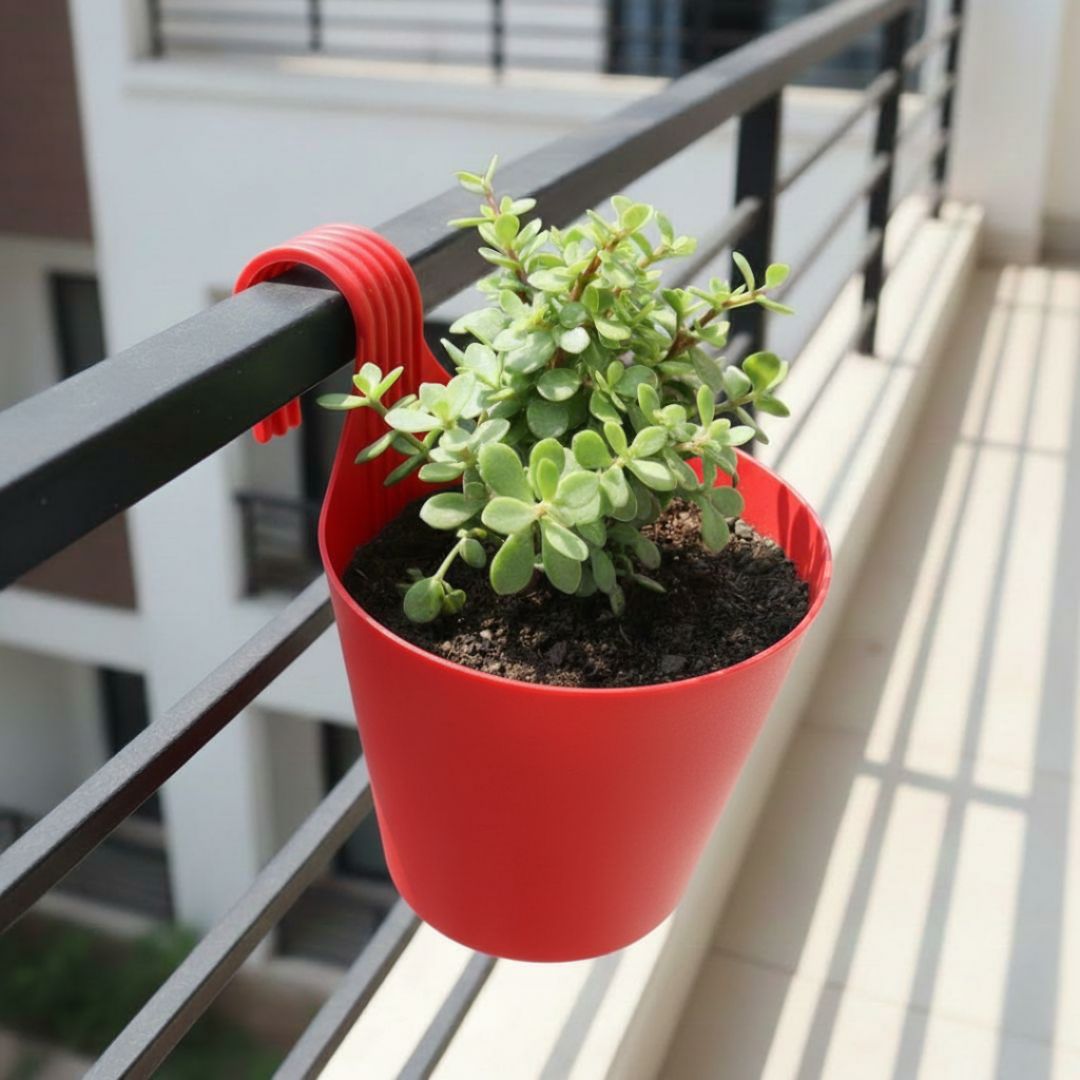 Jade Pune in 8 Inch Red Single Hook Hanging Plastic Pot