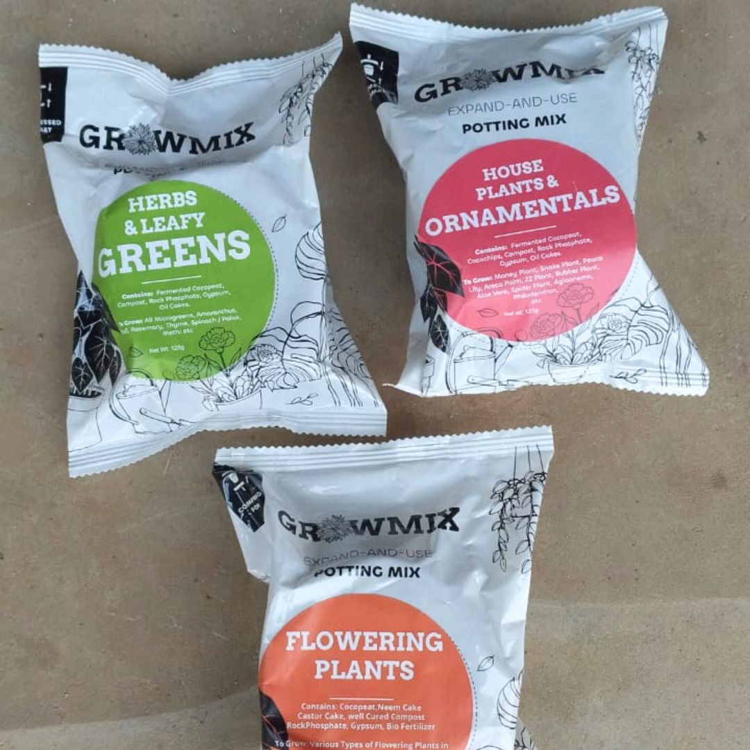Set of 3 - Potting Mix - (Best to Grow Herbs, House Plants & Flowering Plants) - 125 g