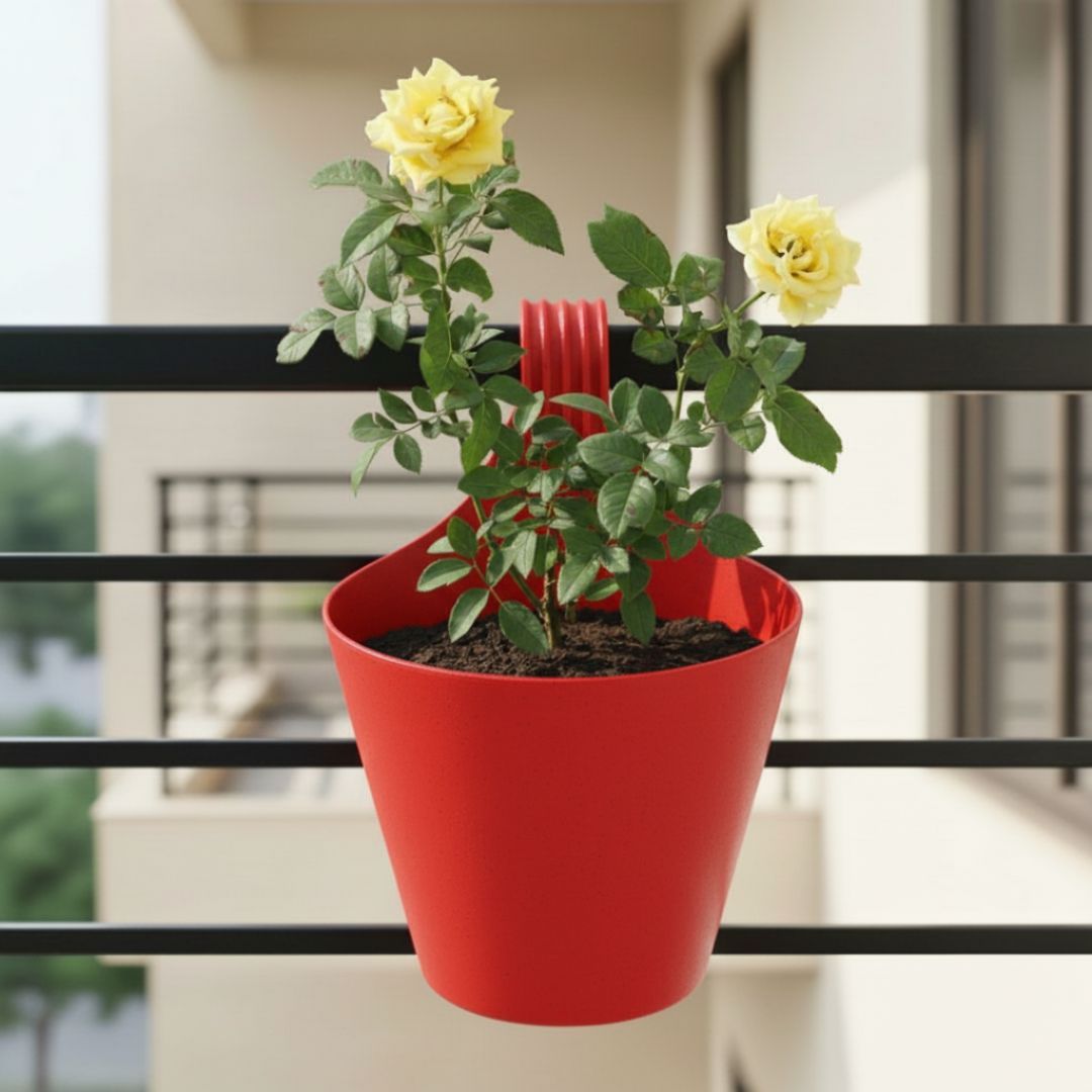 English Rose Yellow in 8 Inch Red Single Hook Hanging Plastic Pot