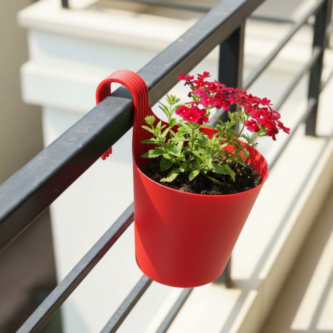 Verbena (Any Colour) in 8 Inch Red Single Hook Hanging Plastic Pot