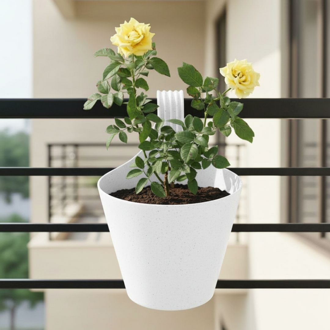 English Rose Yellow in 8 Inch White Single Hook Hanging Plastic Pot