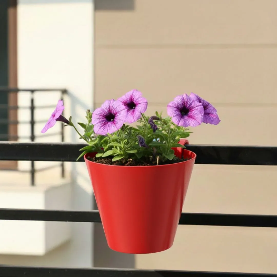 Petunia (any colour) in 8 Inch Red Single Hook Hanging Plastic Pot