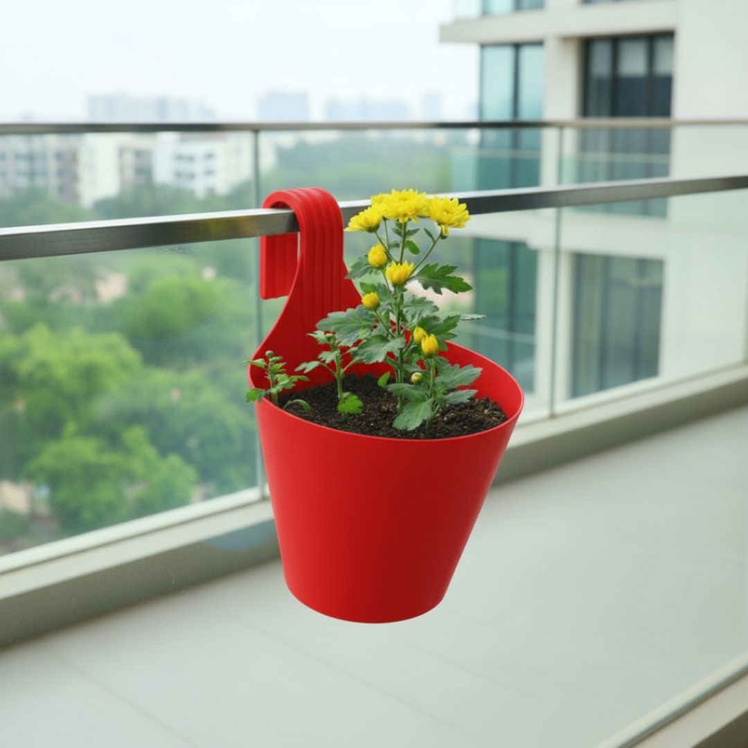 Chrysanthemum / Guldaudi (Any Colour)? in 8 Inch Red Single Hook Hanging Plastic Pot