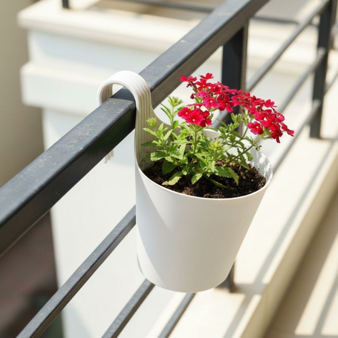 Verbena (Any Colour) in 8 Inch White Single Hook Hanging Plastic Pot
