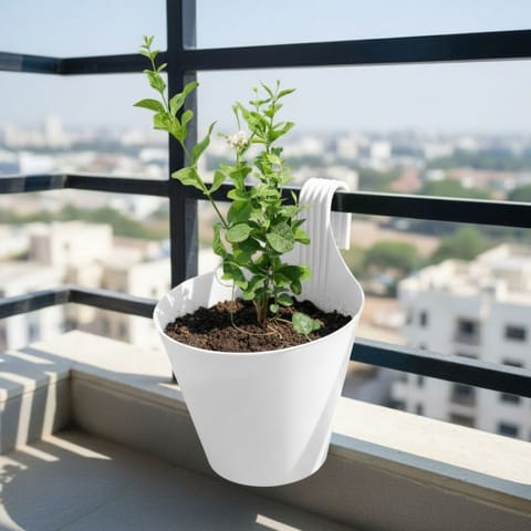 Mogra / Jasmine Pune�in 8 Inch White Single Hook Hanging Plastic Pot