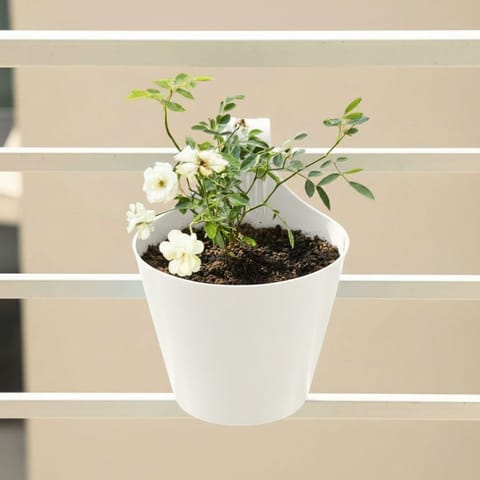 Kashmiri Rose White in 8 Inch White Single Hook Hanging Plastic Pot
