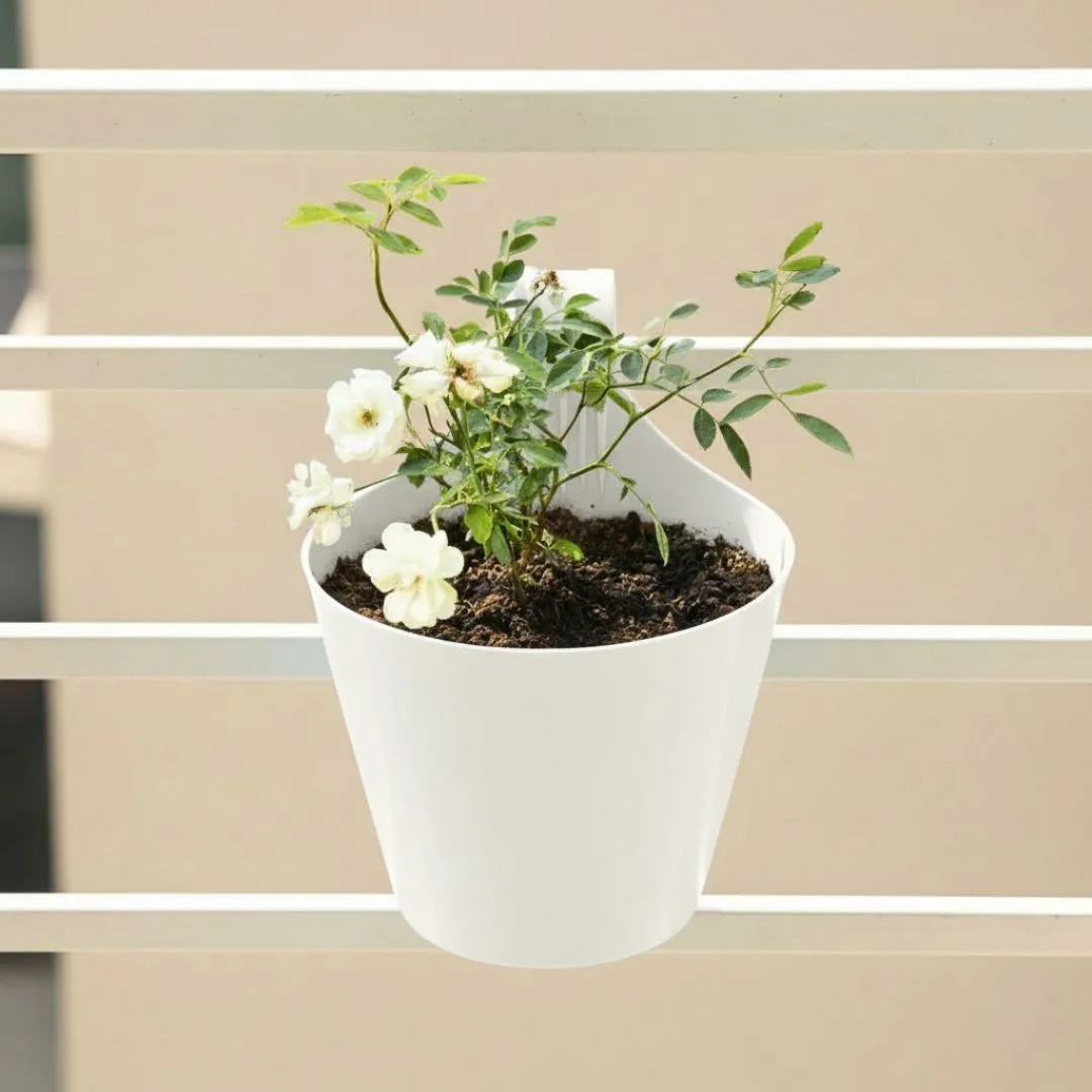Kashmiri Rose White in 8 Inch White Single Hook Hanging Plastic Pot