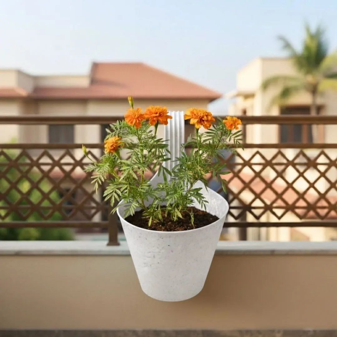Marigold / Genda Orange in 8 Inch White Single Hook Hanging Plastic Pot