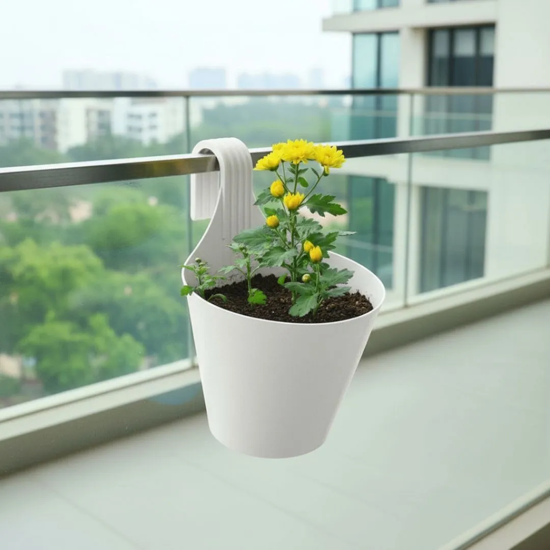 Chrysanthemum / Guldaudi (Any Colour)? in 8 Inch White Single Hook Hanging Plastic Pot
