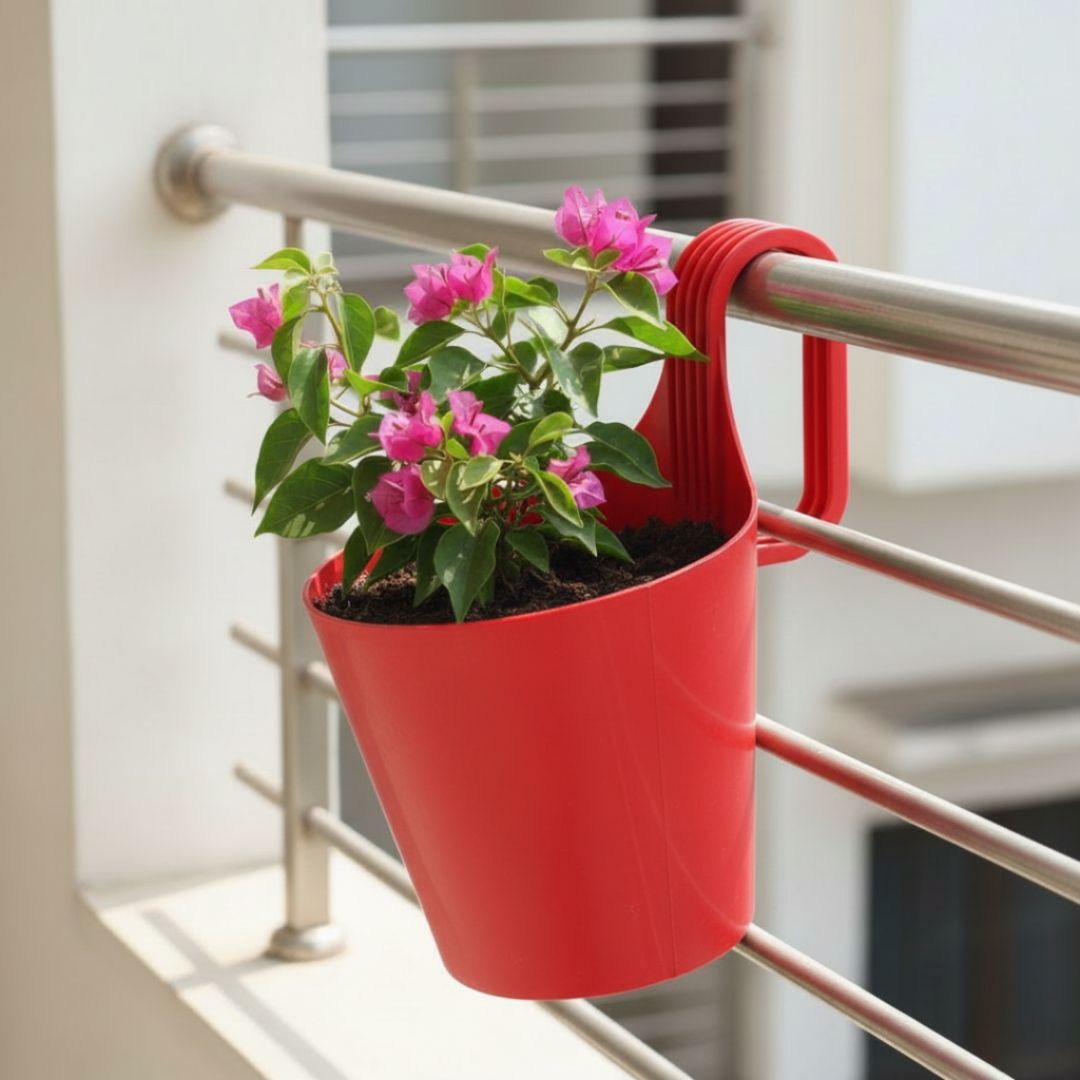 Bougainvillea Pink Dwarf in 8 Inch Red Single Hook Hanging Plastic Pot