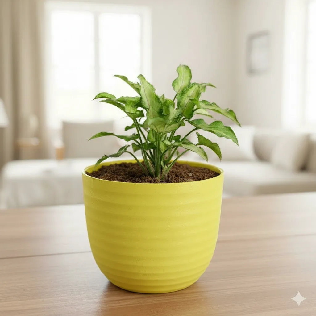 Syngonium Cutglass in 4 Inch Yellow Avora Premium Plastic Planter