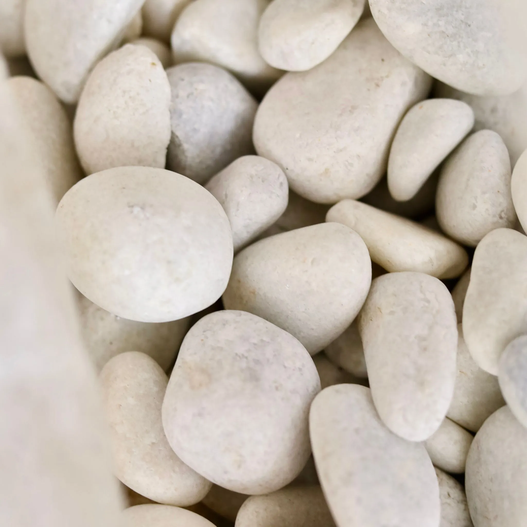 Set of 2 - Decorative White Pebbles - 1 Kg - Bright stones for elegant plant d?cor