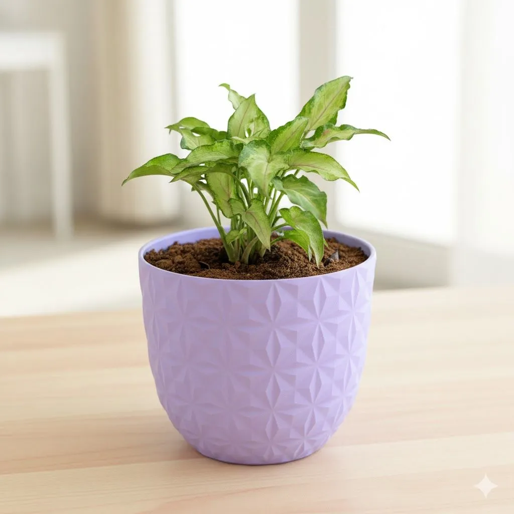 Syngonium Cutglass in 4 Inch Purple Leafora Premium Plastic Planter