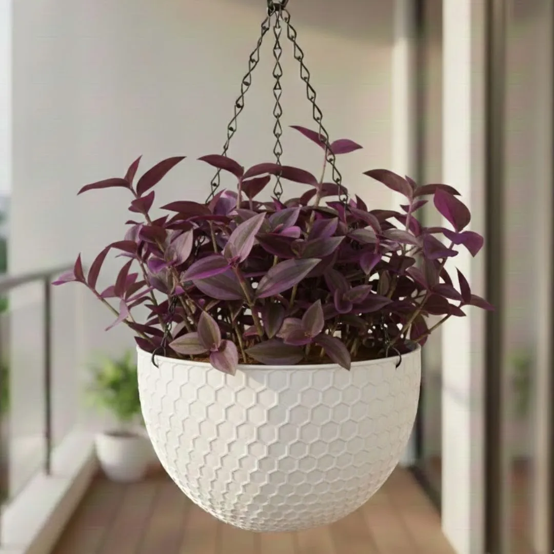 Purple Sage in 7 Inch White Premium Cerana Plastic Hanging Basket