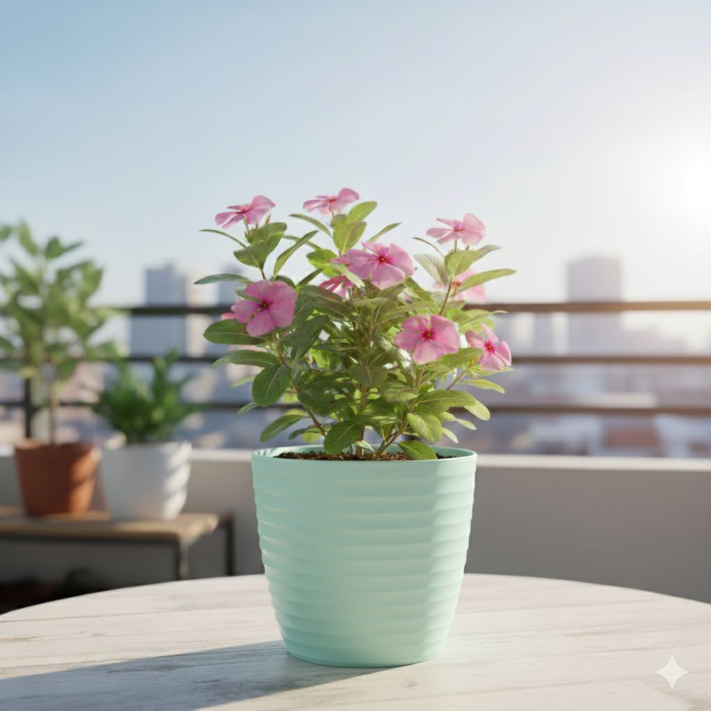 Periwinkle / Sadabahar / Vinca Pink in 5 Inch Pastel Green Avora Premium Plastic Planter