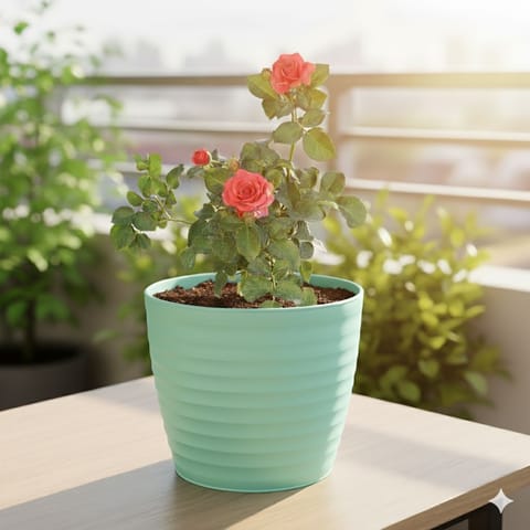 Rose / Gulab Red in 6 Inch Pastel Green Avora Premium Plastic Planter
