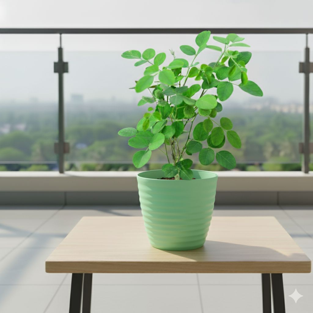 Aparajita / Asian Pigeonwings (Any Colour) in 5 Inch Pastel Green Avora Premium Plastic Planter