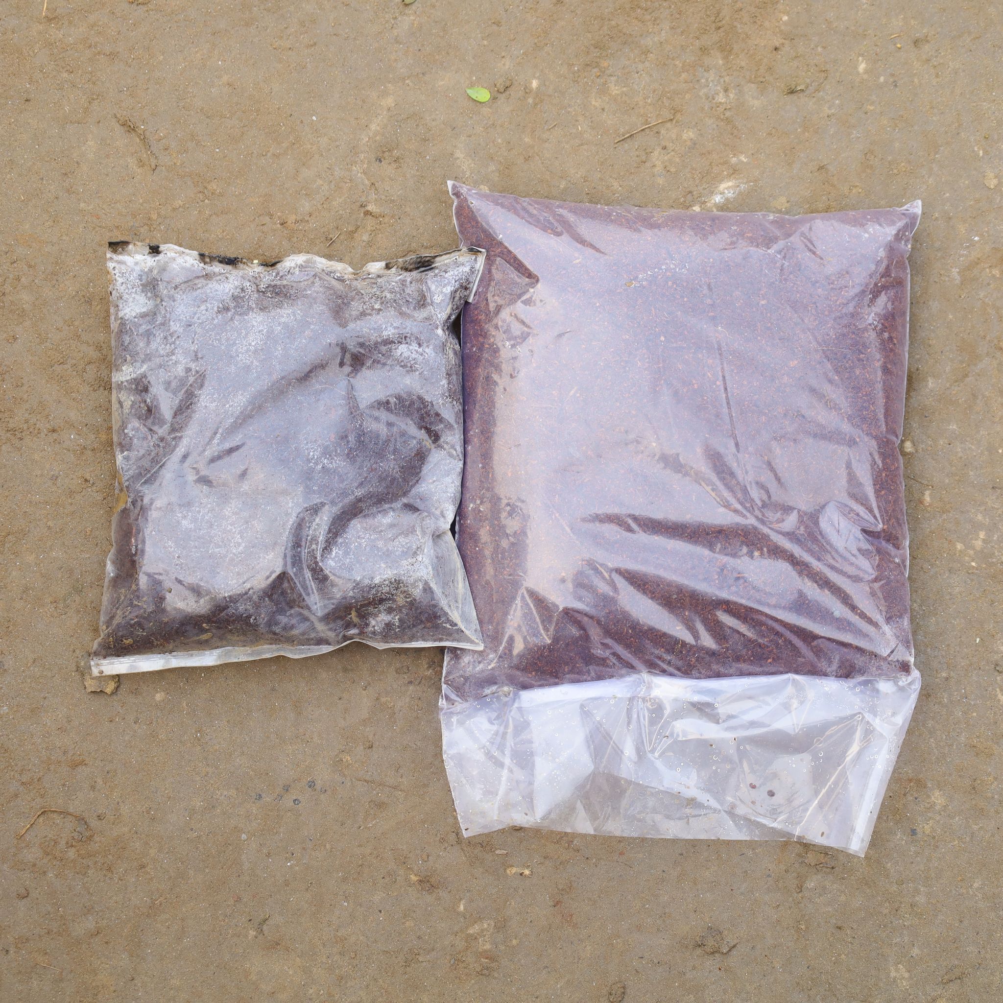 Set Of 2 - Cocopeat Powder - 1500 Gm