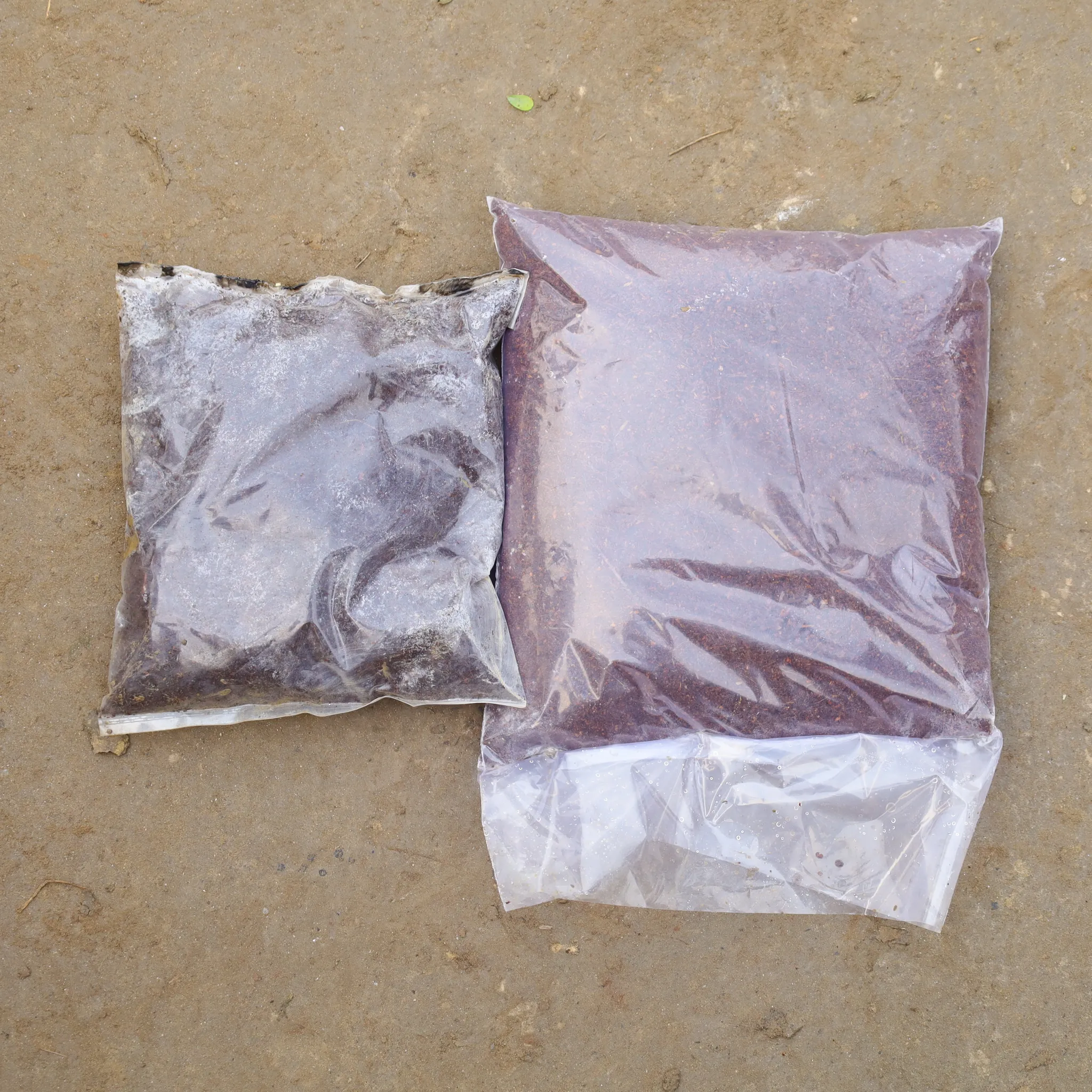 Set Of 2 - Cocopeat Powder - 1500 Gm