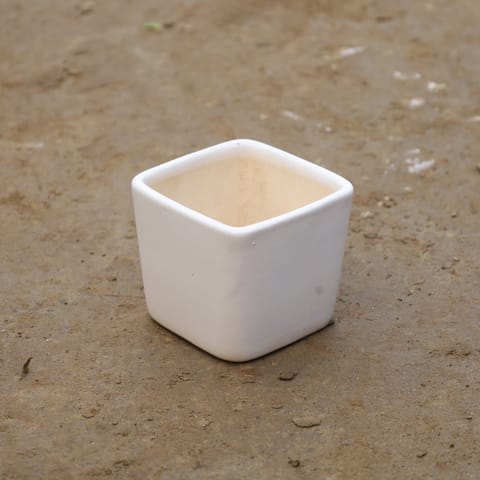 4 Inch White Classy Square Ceramic Pot