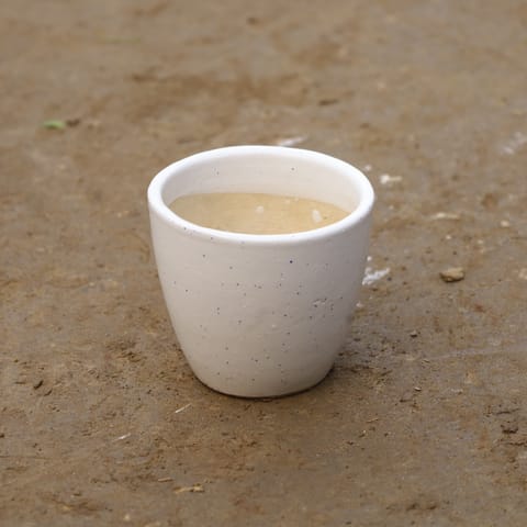 4 Inch White Cup Ceramic Pot(Any Design)