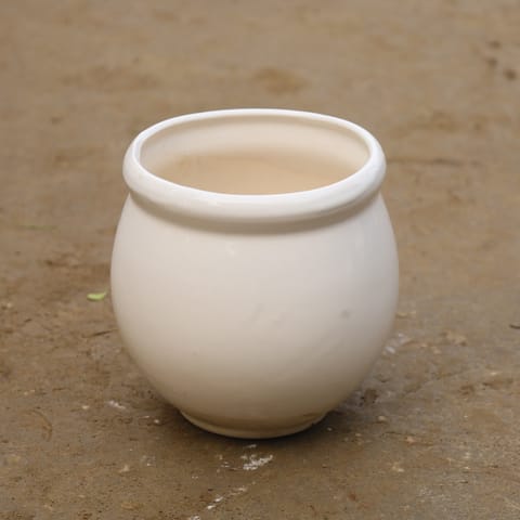 8 Inch Classy White Round Ceramic Pot