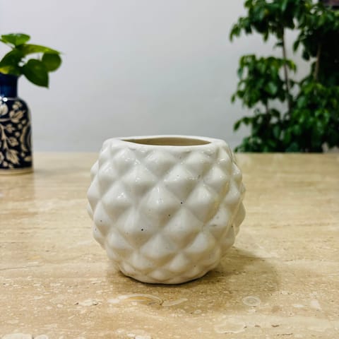 4 Inch Classy White Pineapple Textured Ceramic Pot - Minimalist Glossy Succulent Pot