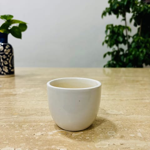 3 Inch White Classy Cup Ceramic Pot - Minimalist Glossy Succulent Pot (Any Colour)